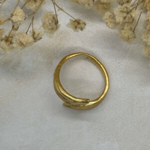 Anillo Dos Hojas Doradas Ajustable